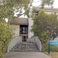 Australian National Insect Collection